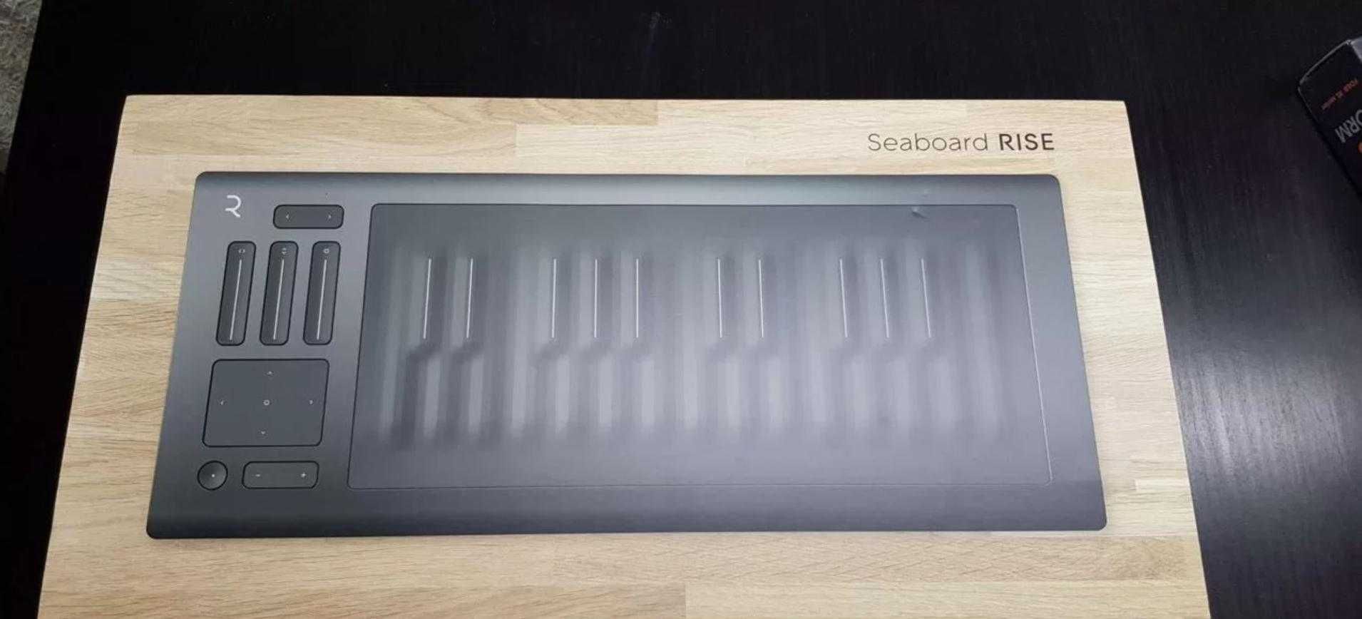 Roli Seaboard Rise 25