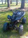 quad bashan 250 nowy silnik