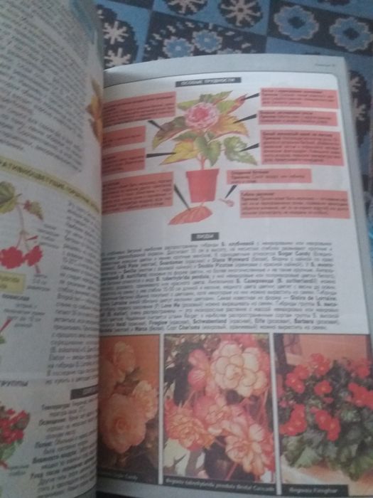 Книга о комнытных растениях