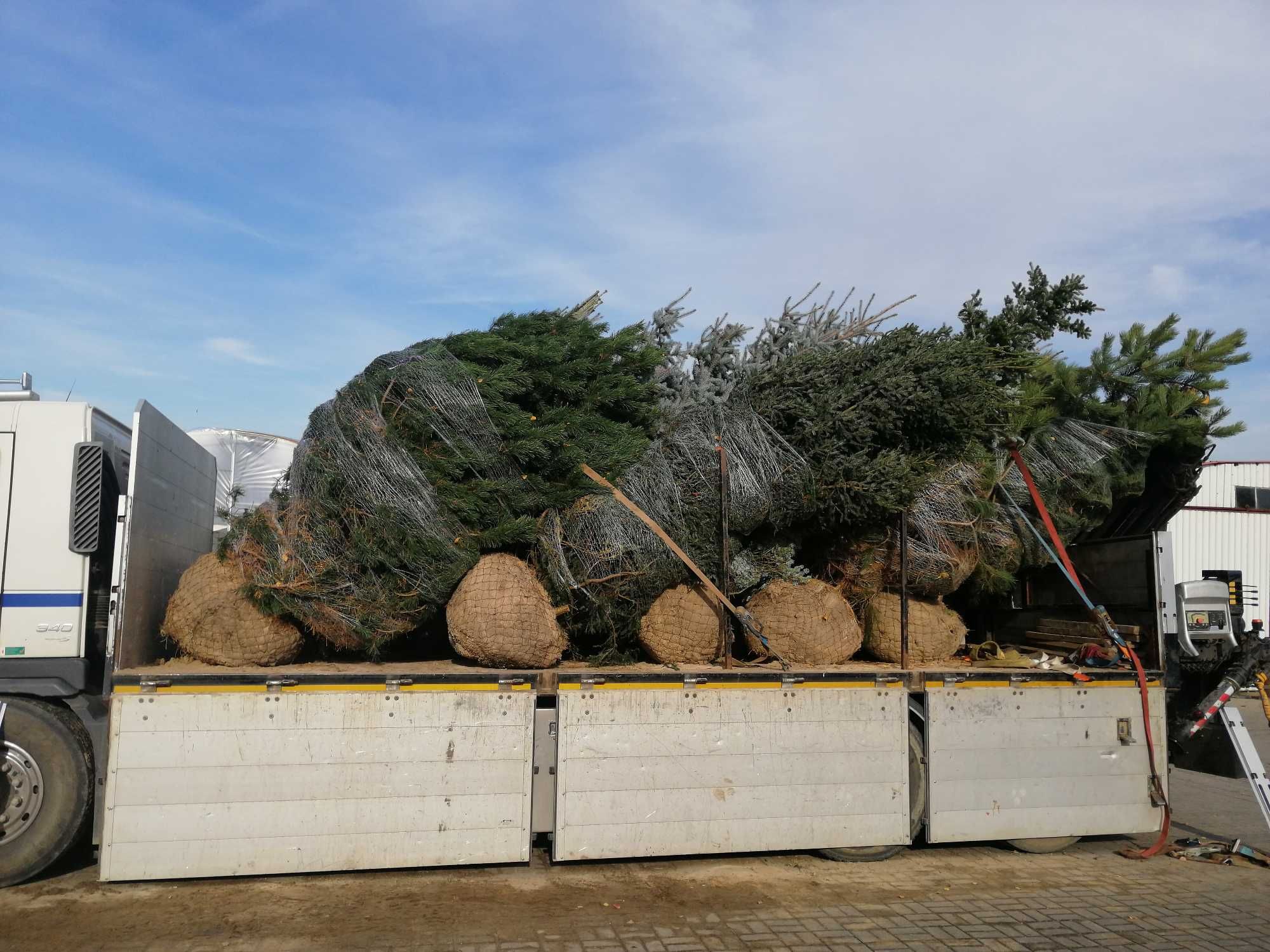 Usługi Transportowe i HDS, Materiały Budowlane