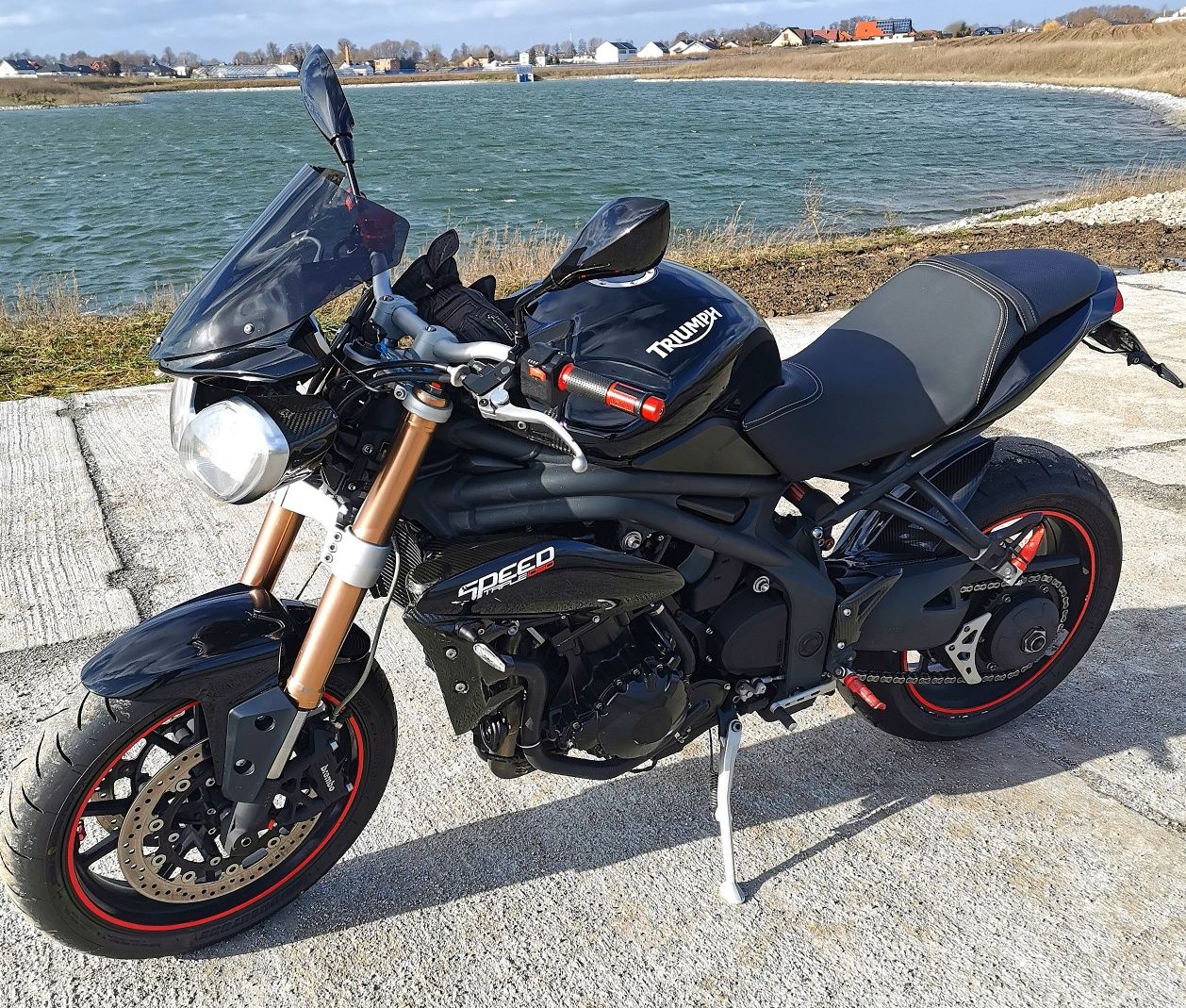 Triumph speed triple 1050