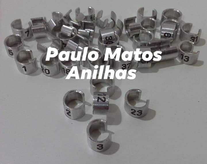 Anilhas Abertas Marcação