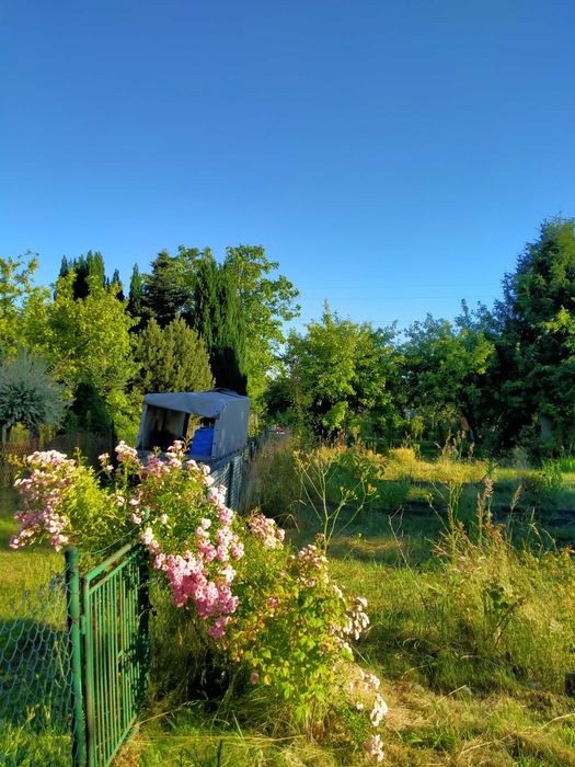 Sprzedam działkę ROD w Krzeszowicach