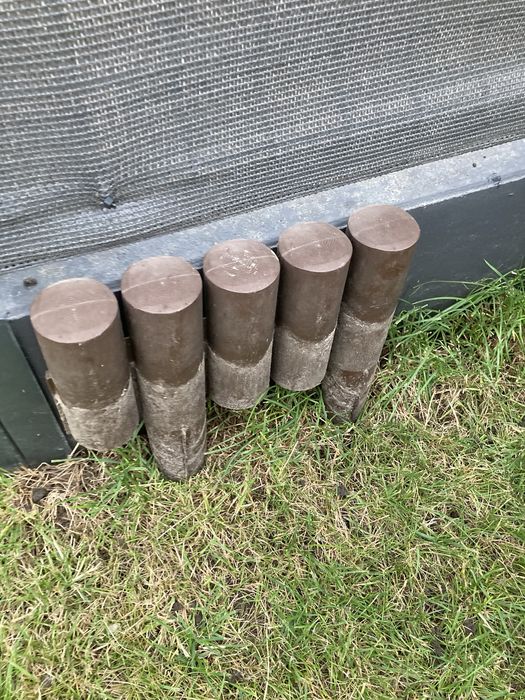 Płotki plastikowe roczne