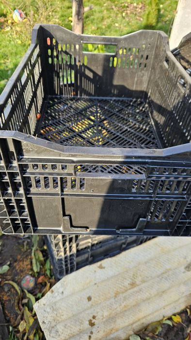 Ящики з під тюльпанів 60*40