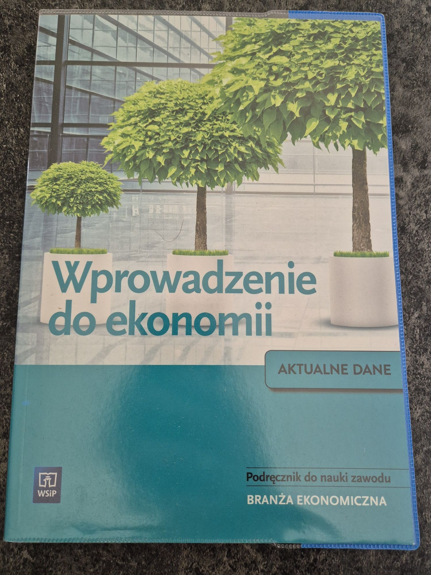 Podręcznik Wprowadzenie do ekonomii wsip