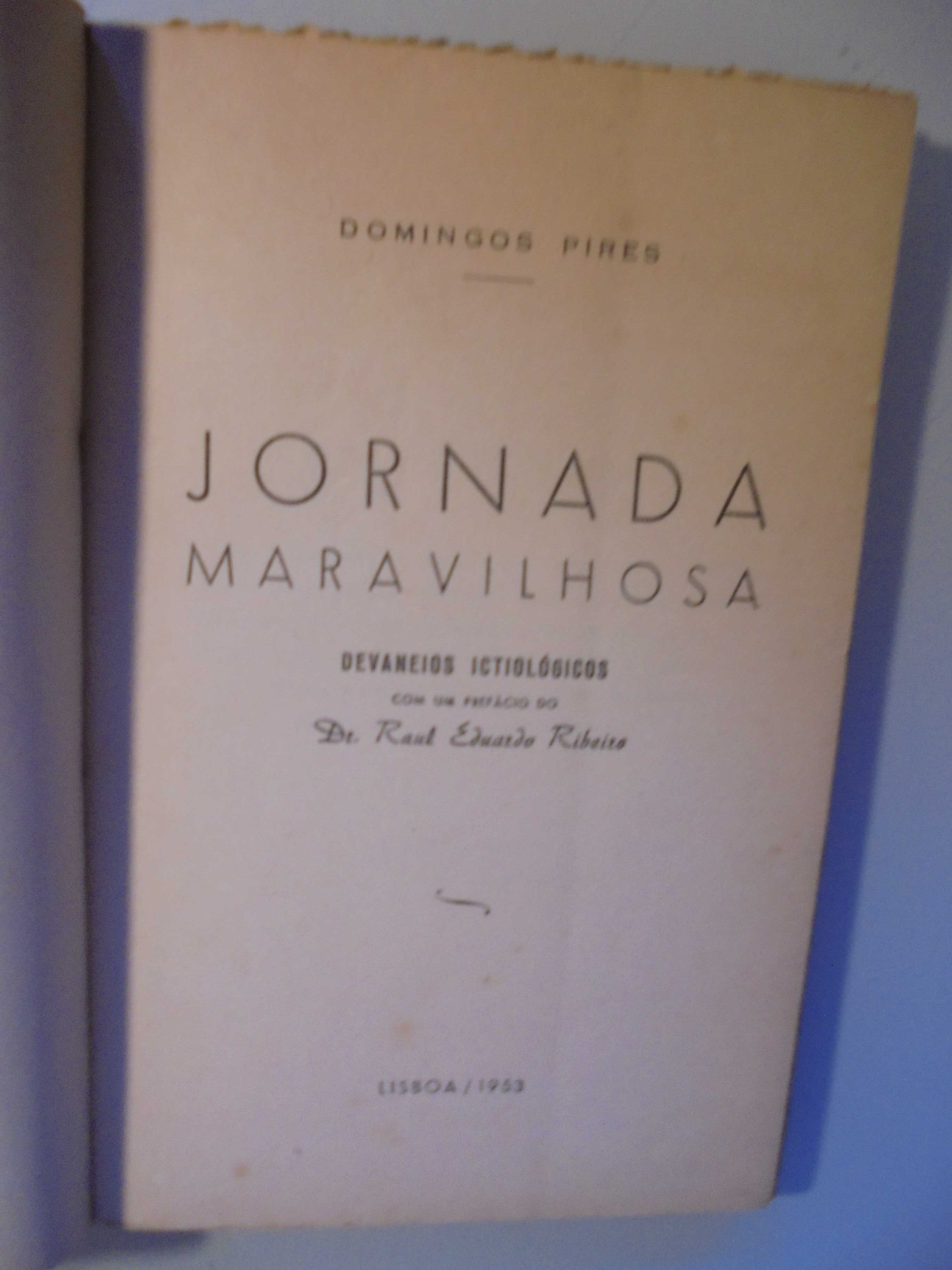 DOMINGOS PIRES-JORNADA MARAVILHOSA