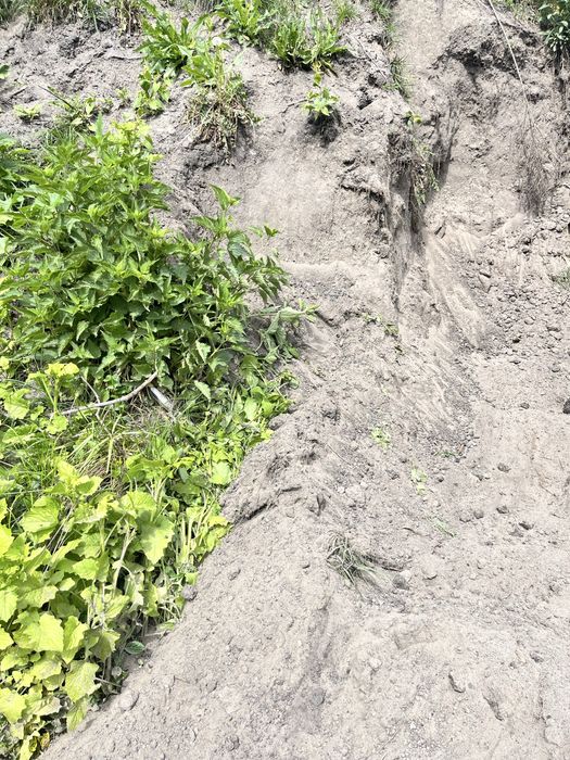 Oddam ziemie Oddam ziemię