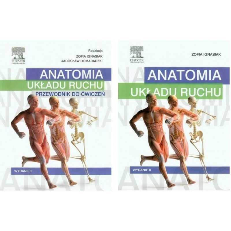 Anatomia Układu Ruchu Podręcznik + ćwiczenia NOWE NaMedycyne