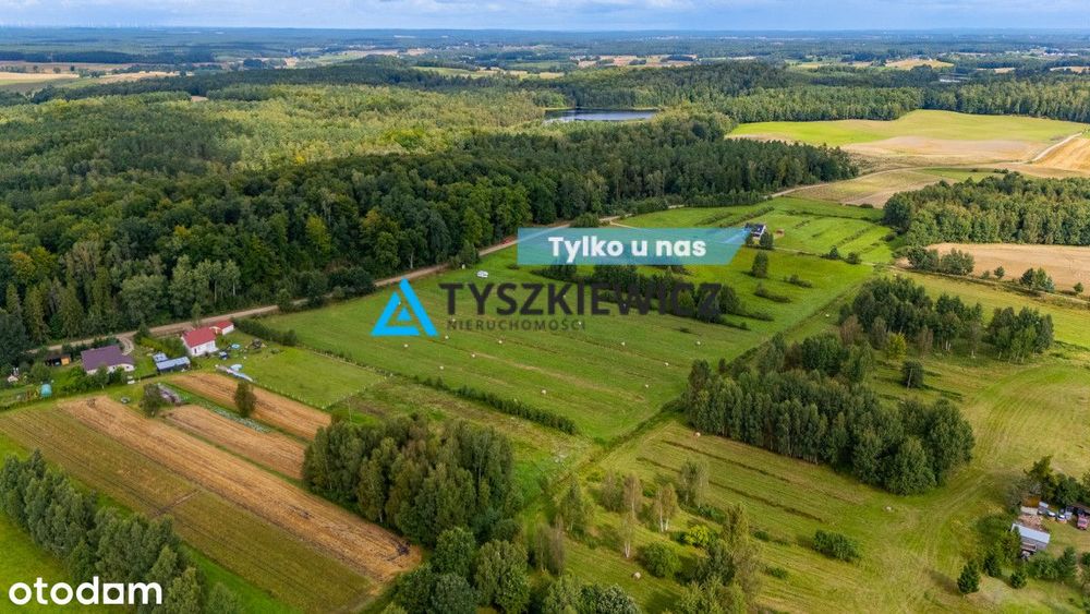 Działka na wsi? Sprawdź perełkę w pięknej okolicy