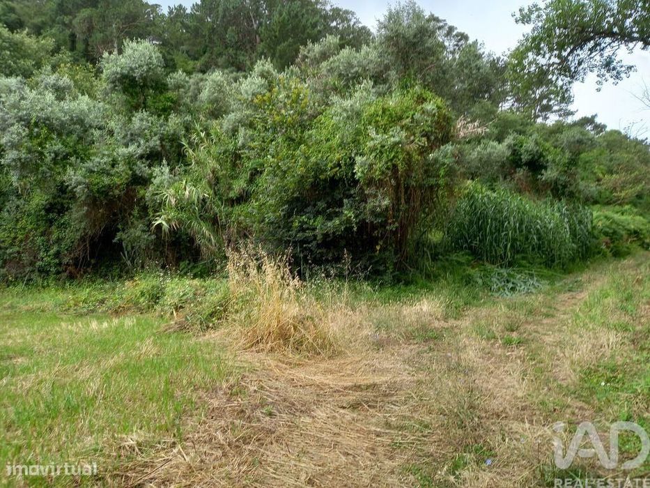 Terreno em Santo Isidoro de 4000,00 m2