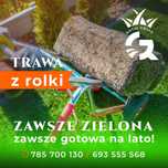 Trawa w rolce Producent Royal Grass