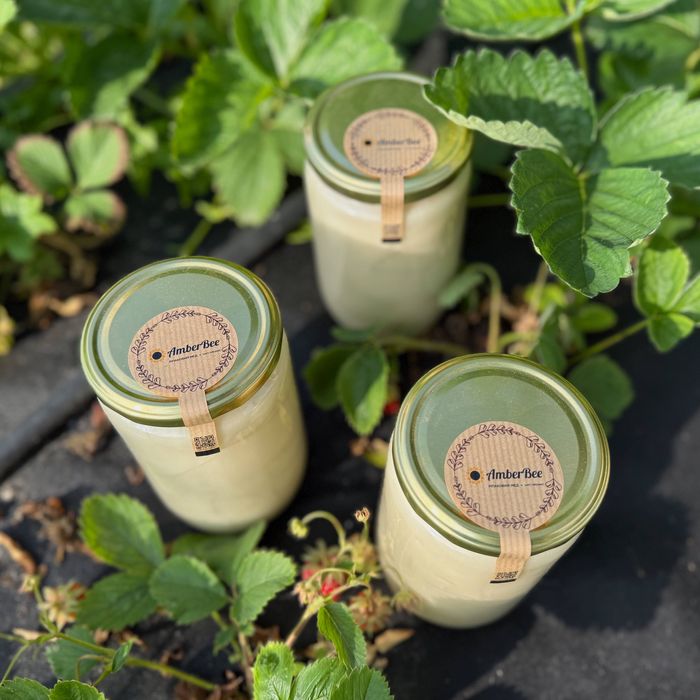 Ріпаковий мед кремовий