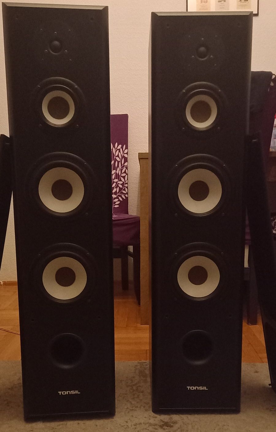 Kolumny Tonsil Maestro S