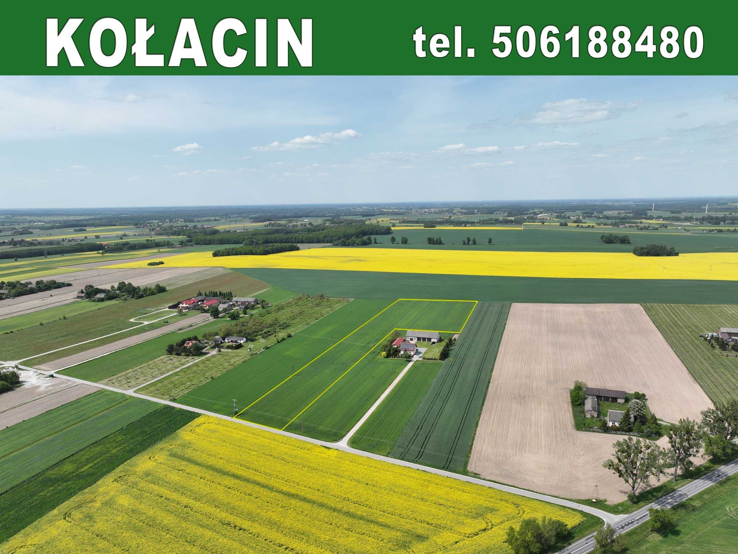 Na sprzedaż działka rolno-siedliskowa 2,4 ha – Kołacin, gm. Dmosin!