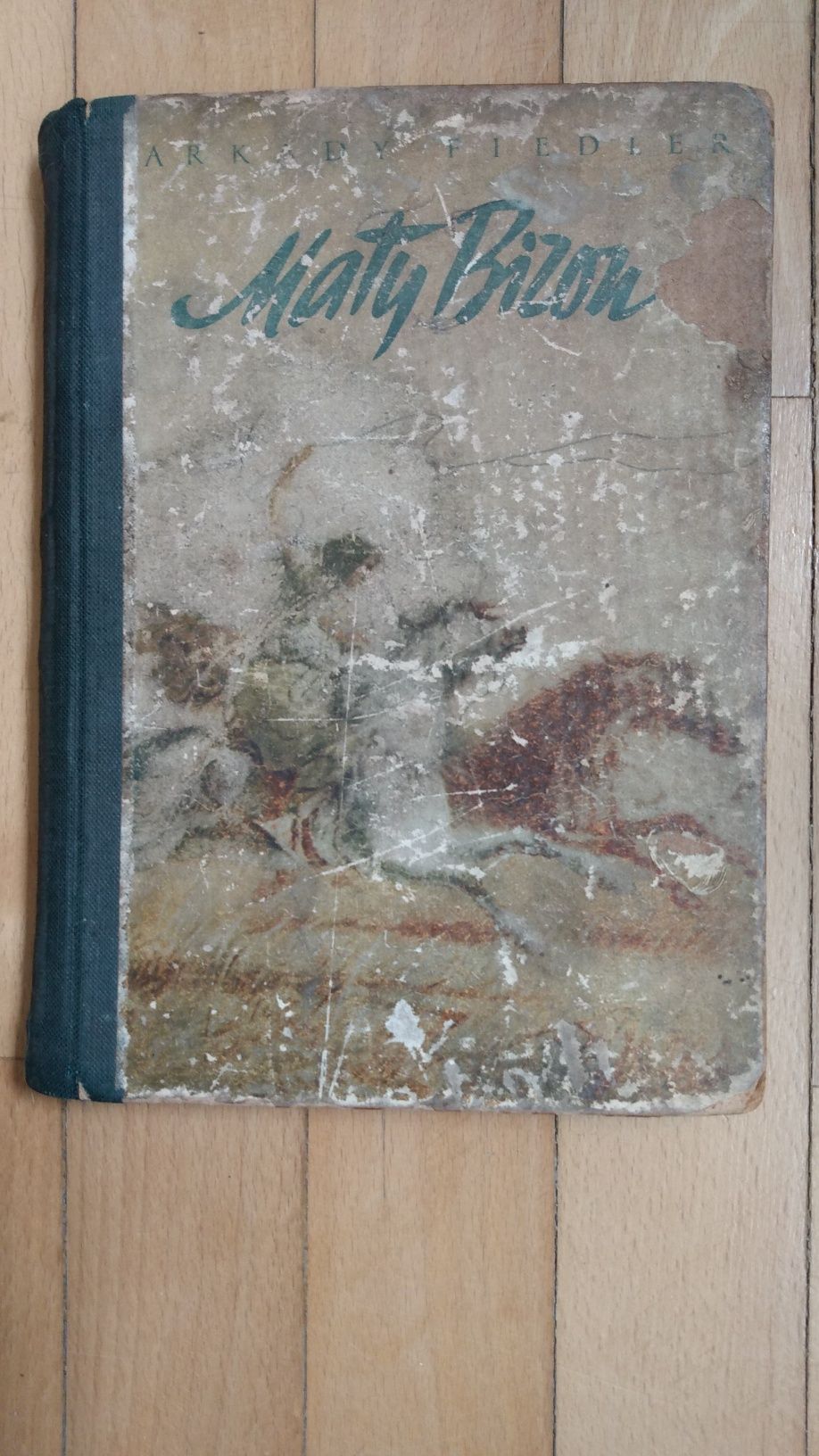 Mały Bizon Arkady Fiedler "Iskry" 1953
