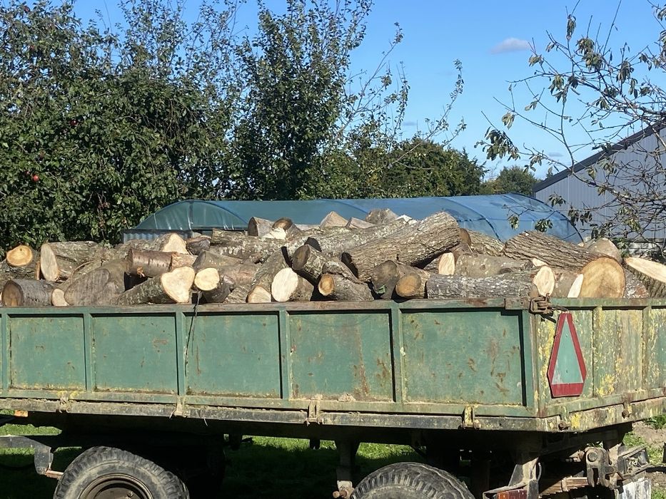 Drewno  kominkowe opal