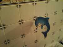 golfinho decorativo infantil