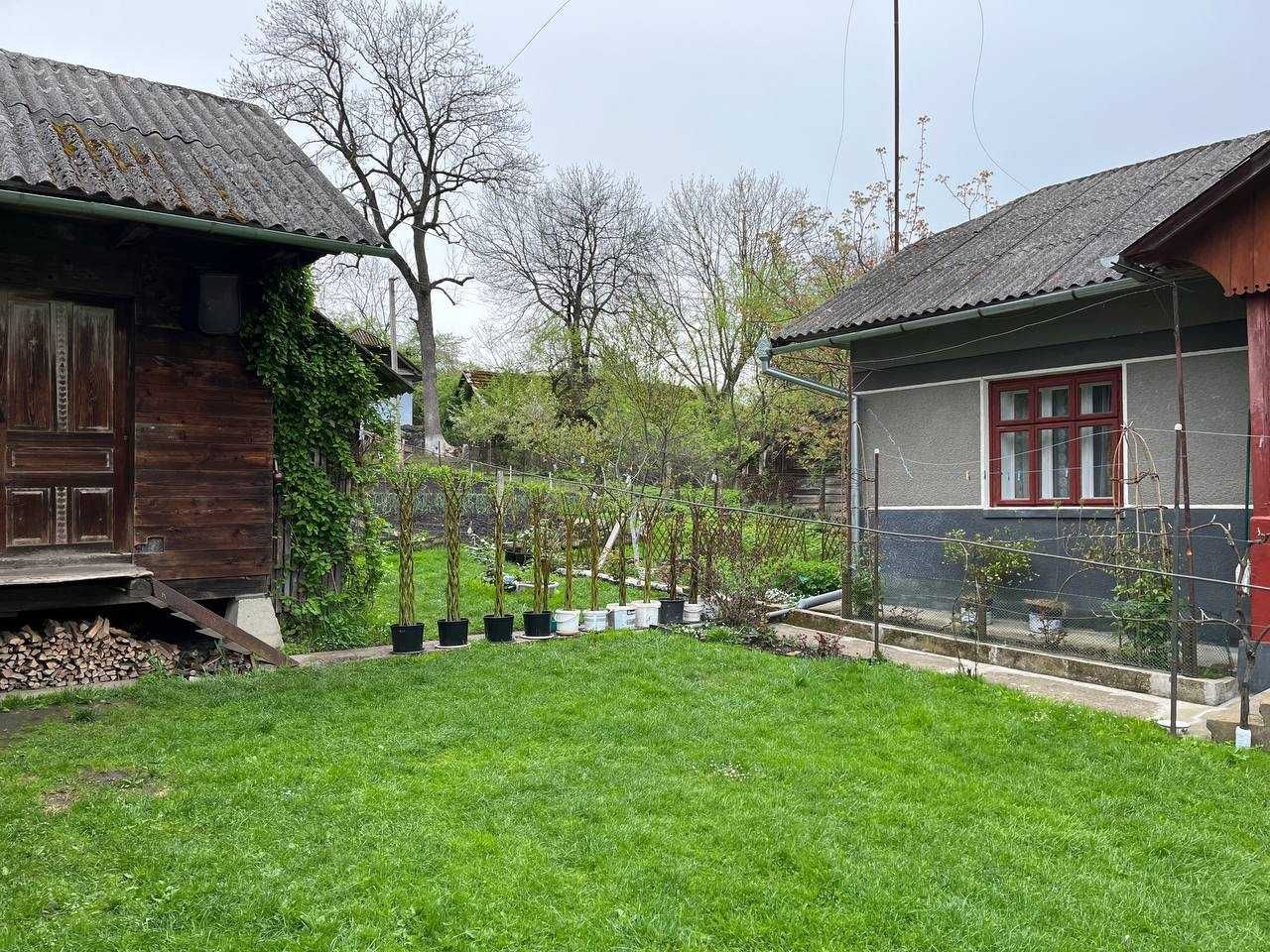 Будинок з усіма зручностями та садом молодого фундука!