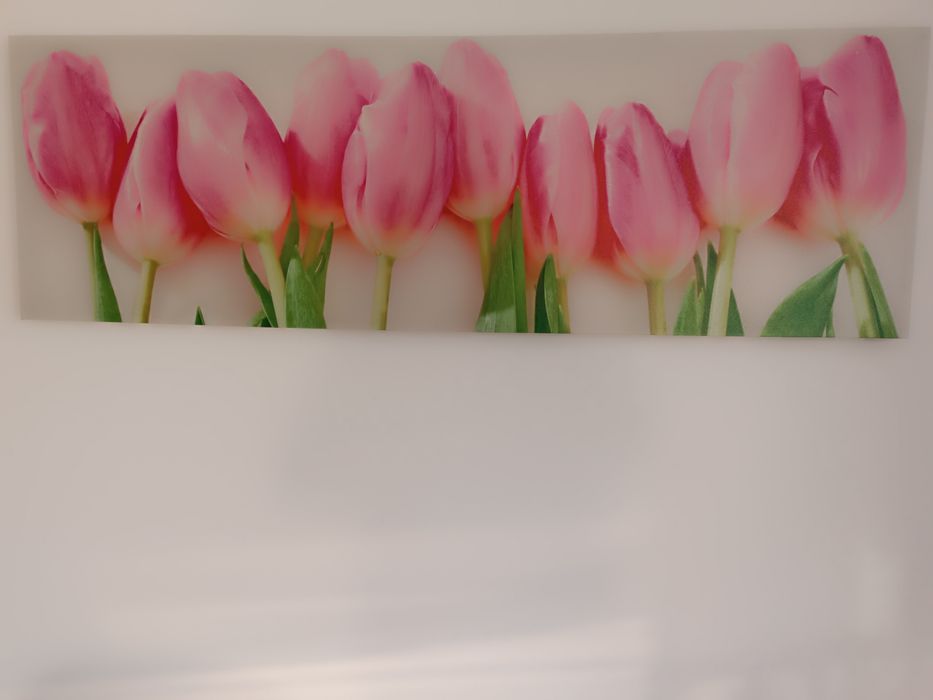 Obraz tulipany  45x140