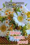 Отдам женские, подростковые теплые вещи и летние вещи, обувь