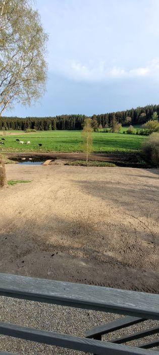 Usługi koparką , wywrotka , ciągnik , przyczepa budowlana