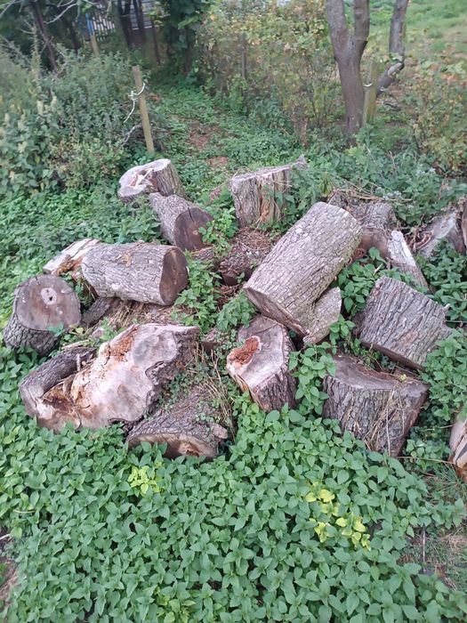 Продам дрова з грушки