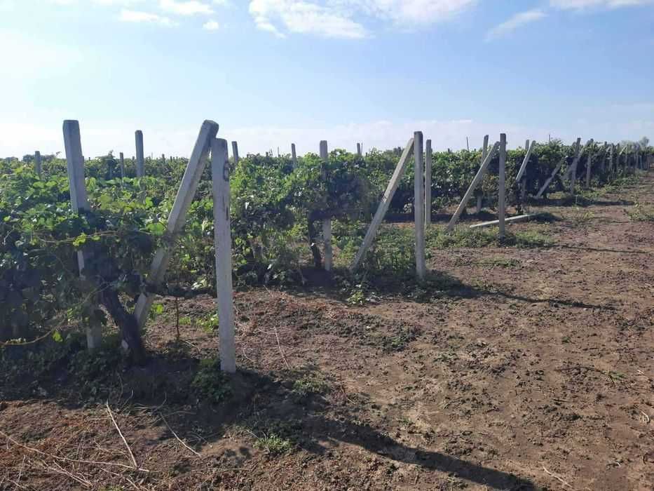 Стовпи на паркан забор сітка дріт огорожа стовпчики