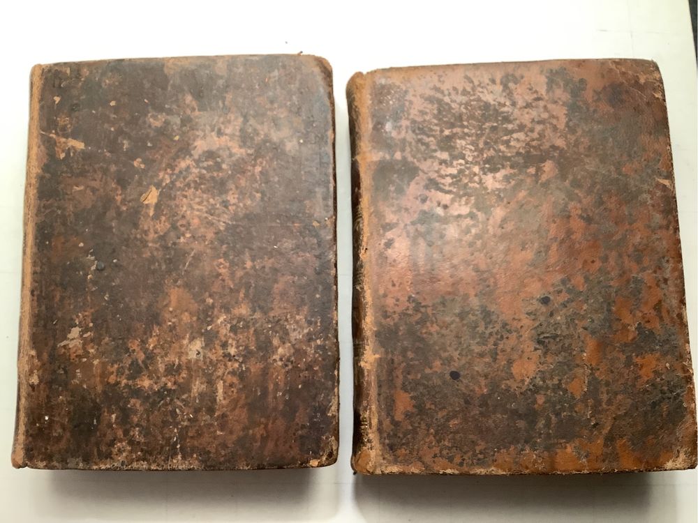 Dicionarios de Alemão-Português e Português-Alemão, edicões de 1858