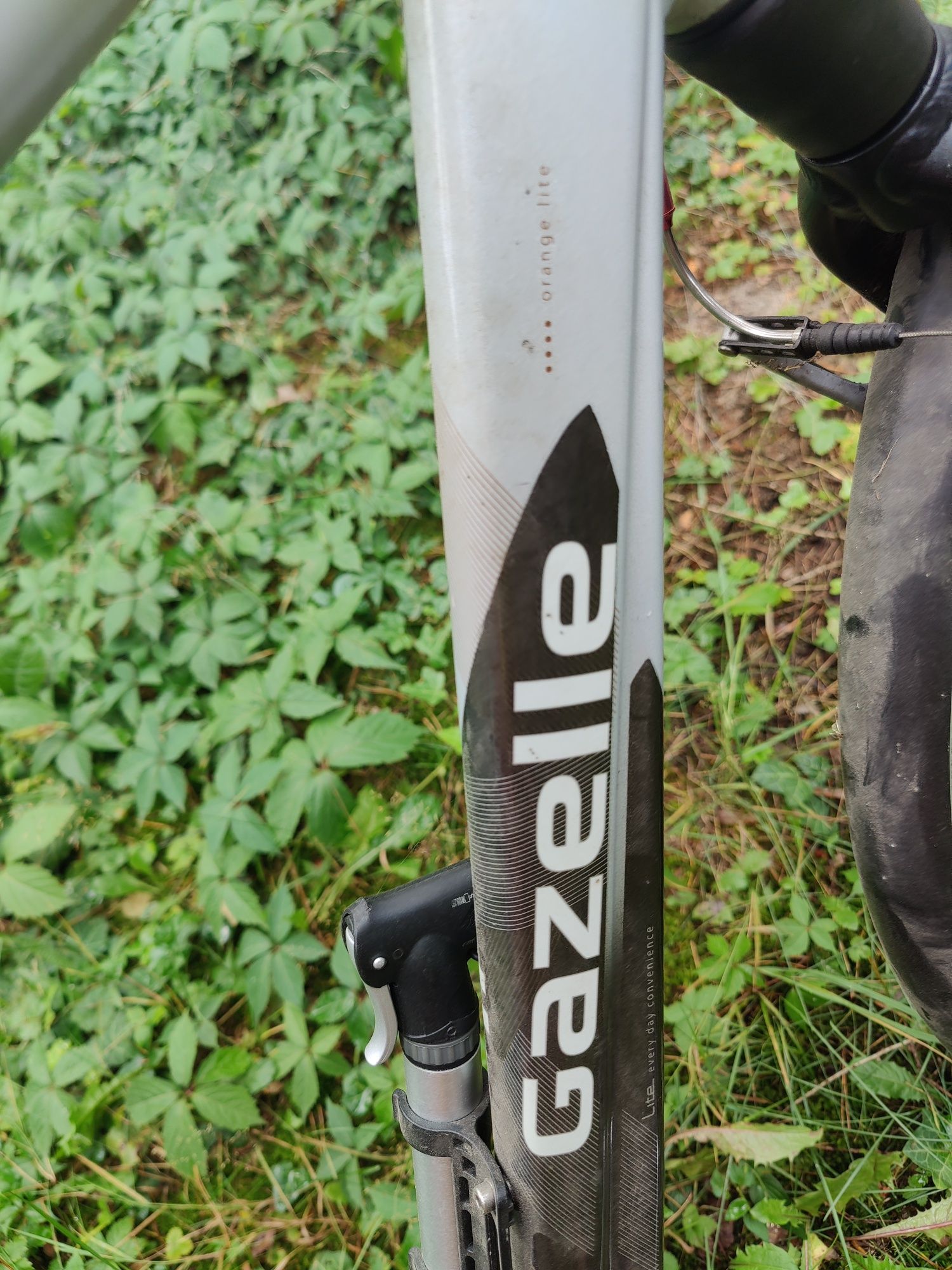 Gazelle Orange Lite
