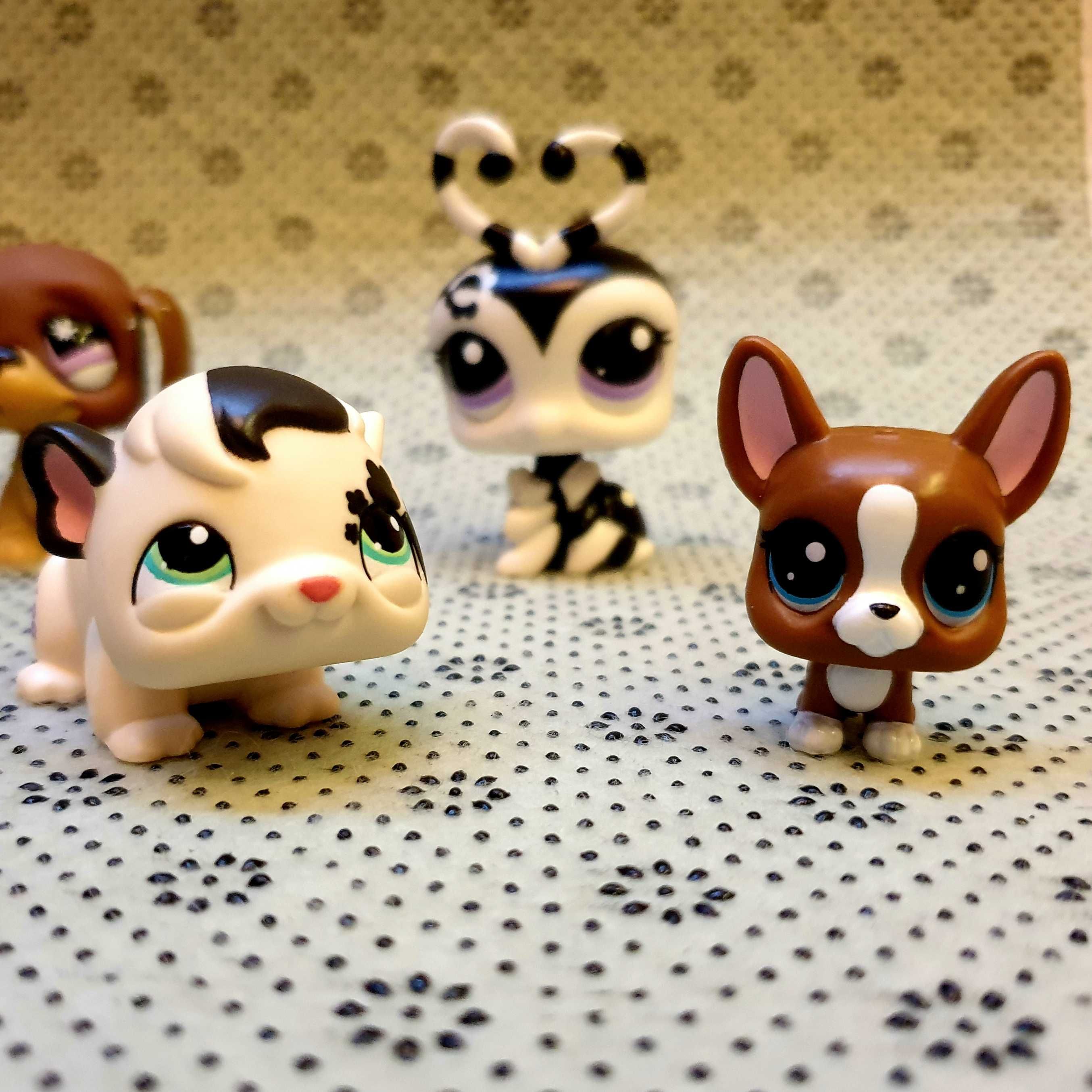 Littlest Pet Shop 9 rzadkich sztuk - oryginalne LPS Zestaw 1 z 3