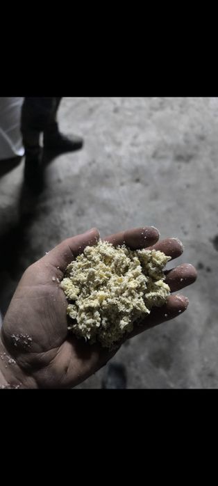 Kiszone mielone ziarno kukurydzy CCM