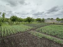 Продаж доглянутої ділянки в с. Білозірʼя.
