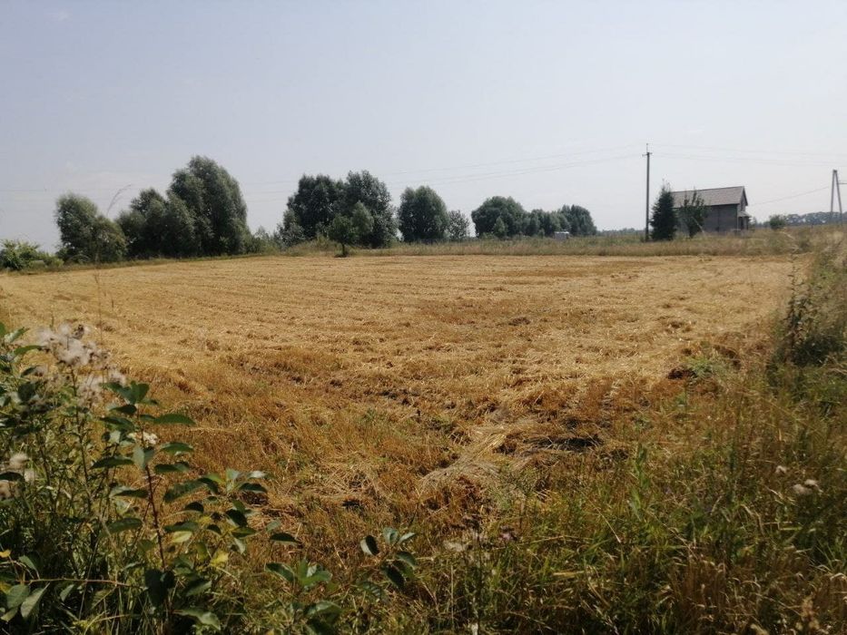 Земельна ділянка під забудову (25соток)