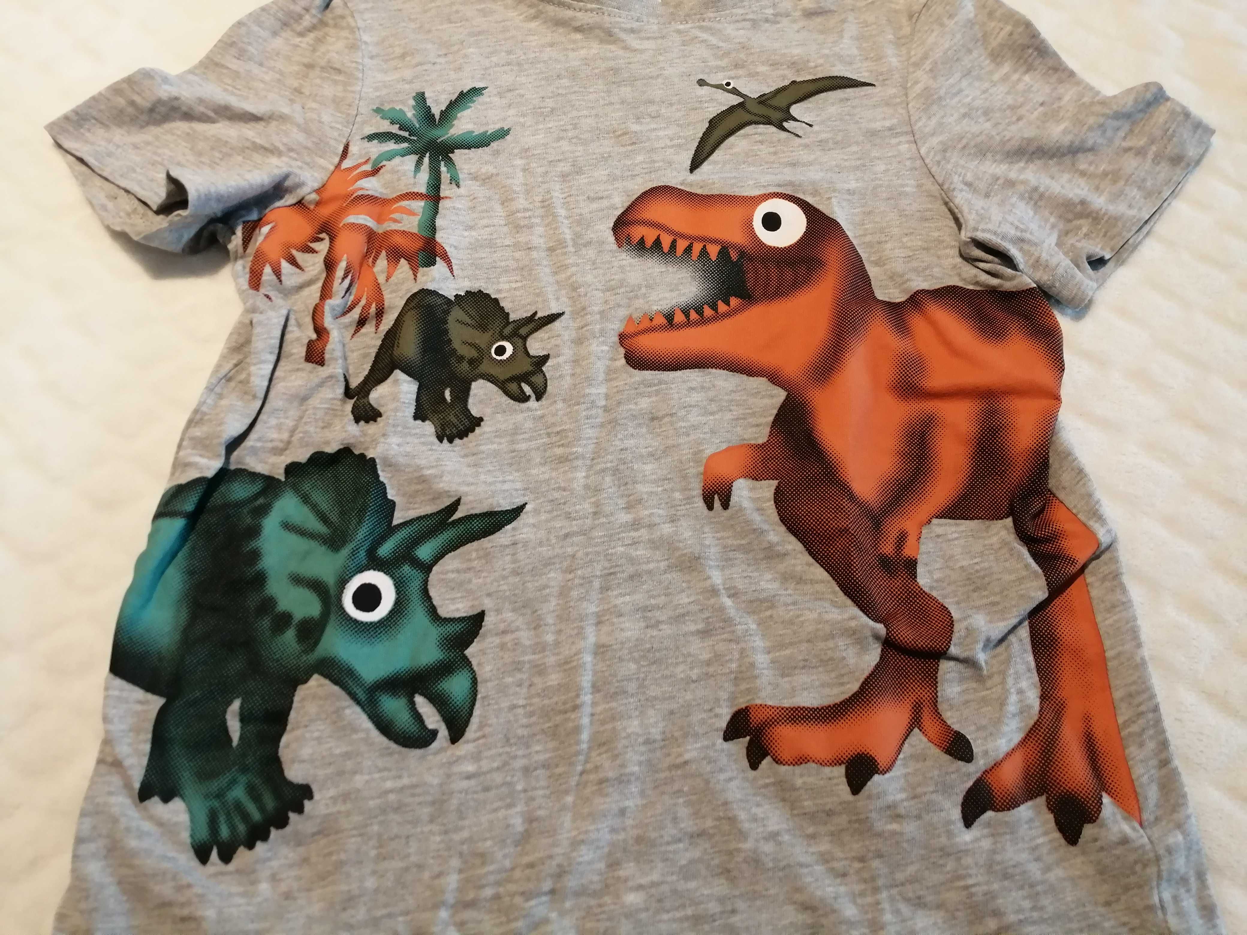 Koszulka, krótki rękaw, T-shirt, dinozaury, 116, C&A (Odzież)