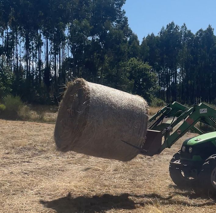Rolos de Feno de qualidade
