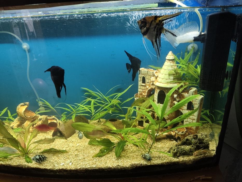 Продам аквариум на 200 лит.