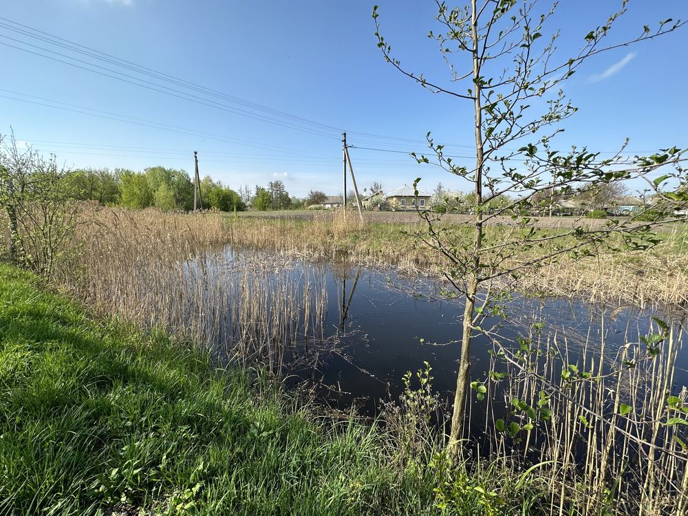 Великий будинок в центрі с. Тубільці, 1 Гектар землі, 40 км від Черкас