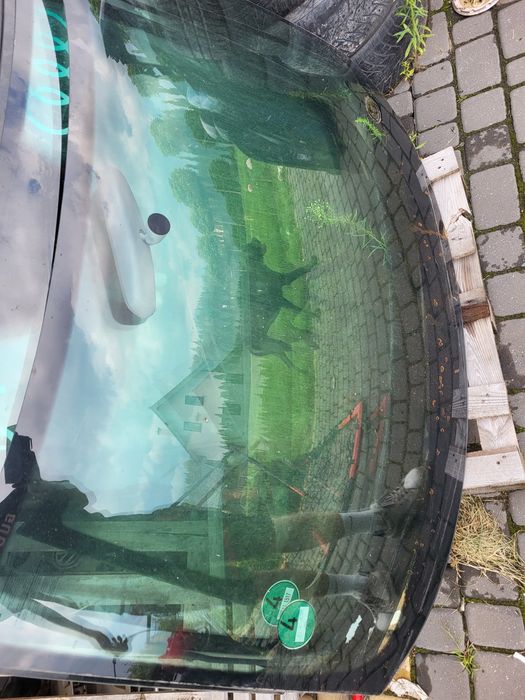 Szyba czołowa audi a3 8p cała bez odprysków