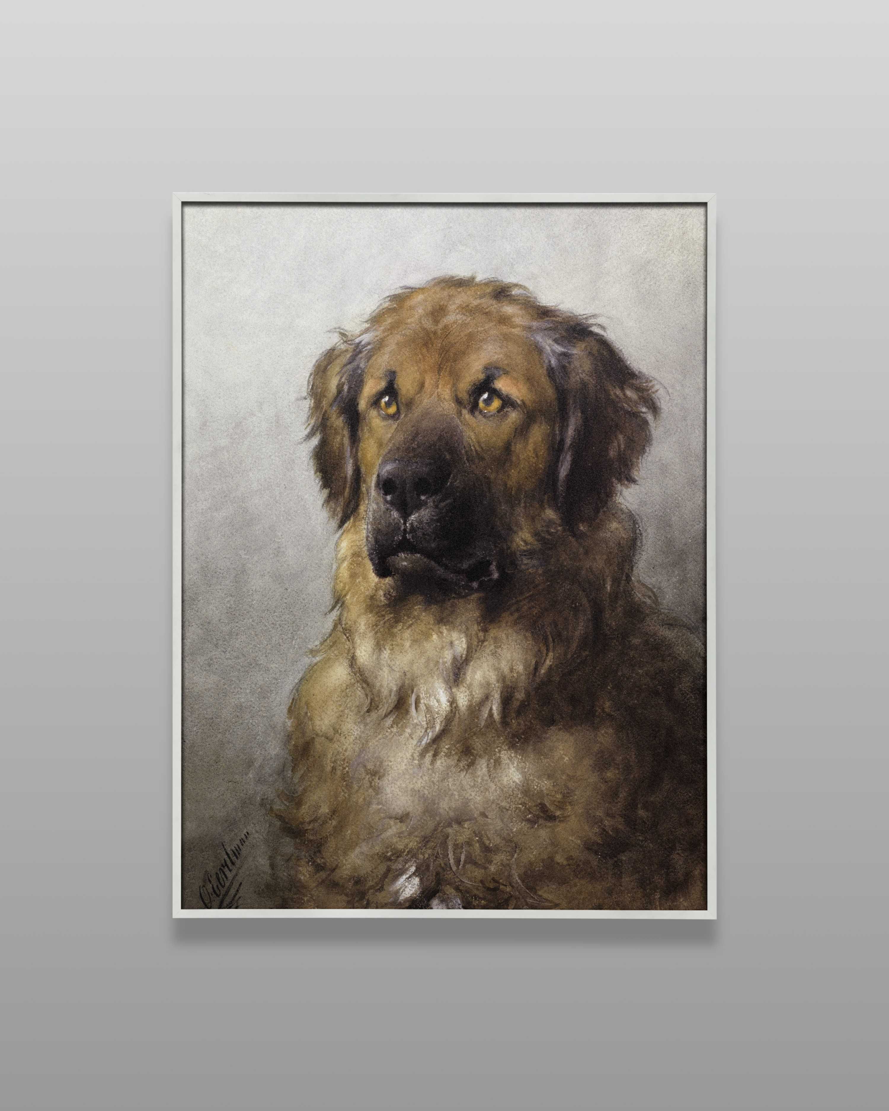 Plakat A3 Head of a Leonberger - Obraz pies wydruk Eerelman#1