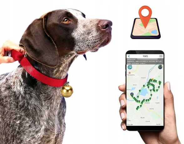 LOKALIZATOR GPS MK15P psa kota aplikacja dzwonek