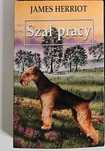 Szał pracy James Herriot