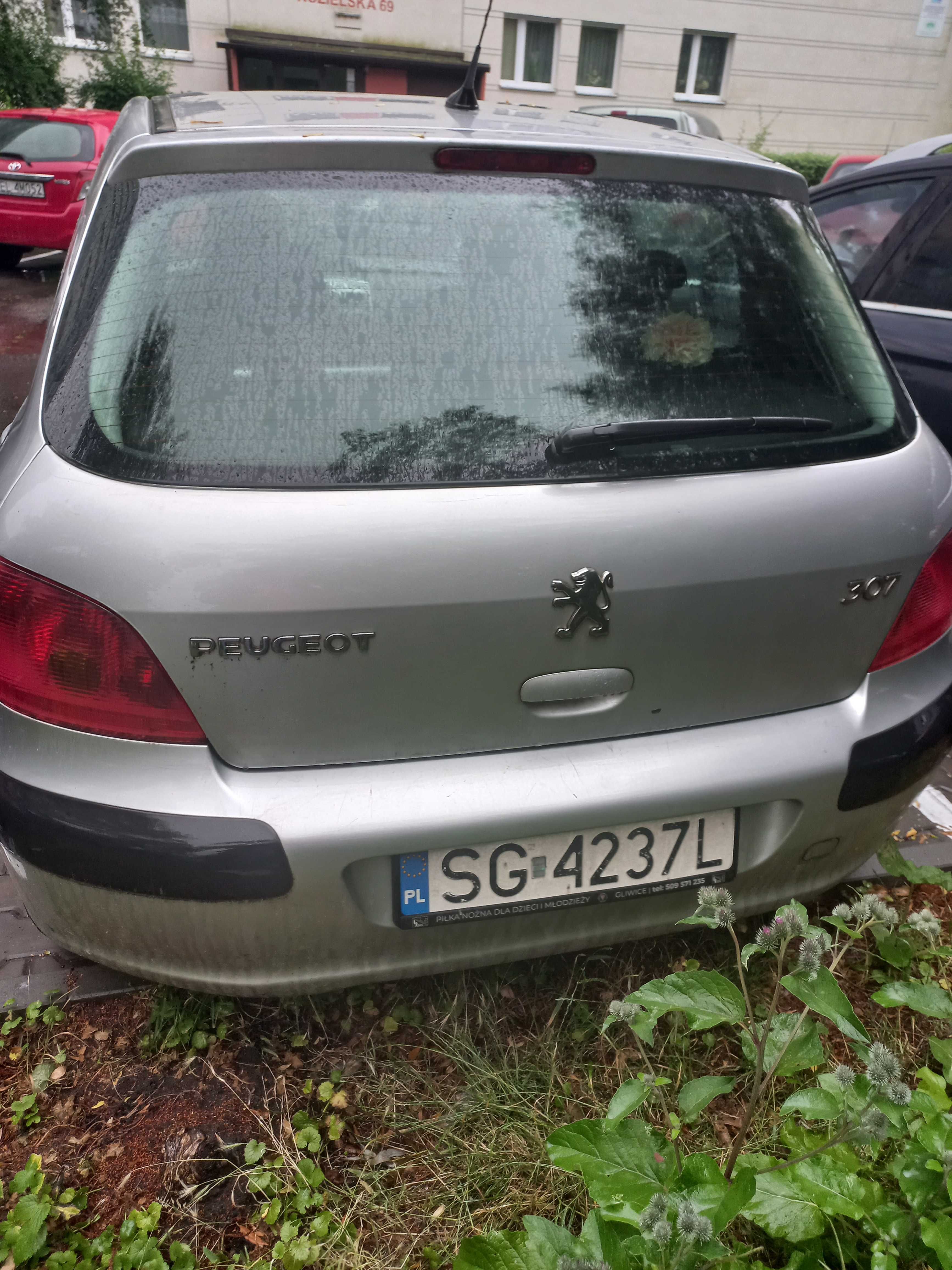 Peugeot 307 benzyna +LPG 2003