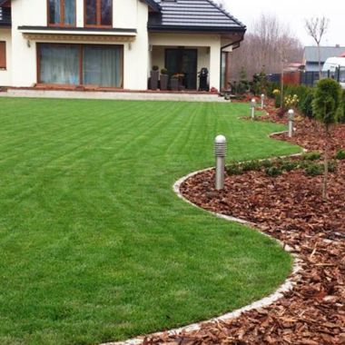 Ziemia Sortowana pod Trawnik Czarnoziem