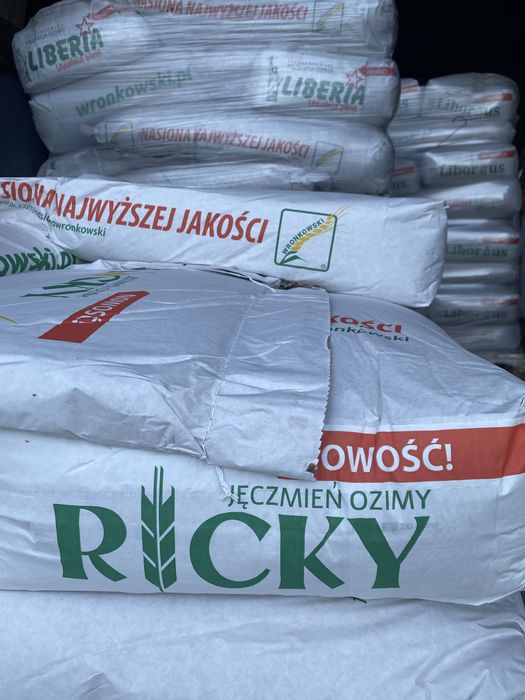 Jęczmień ozimy RICKY C1