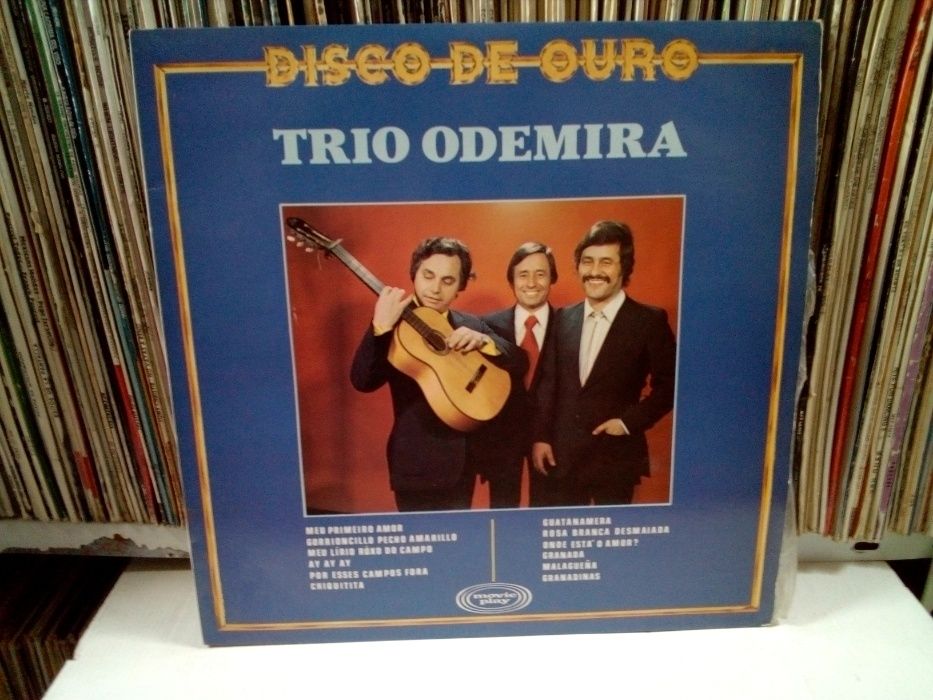 Lote Vinil Trio Odemira