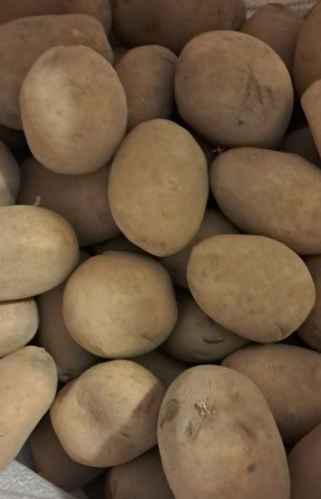 Продам дрібну картоплю