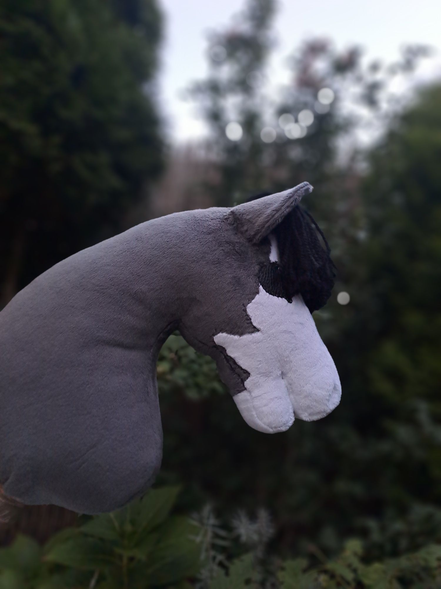 Hobby horse myszaty