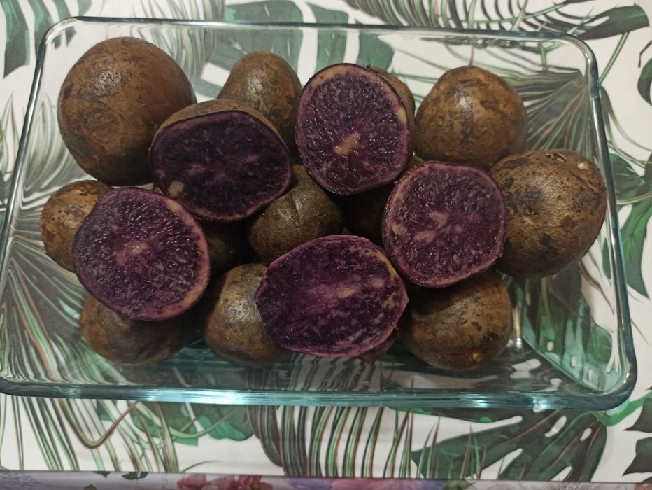 Ziemniaki fioletowe, truflowe Provita