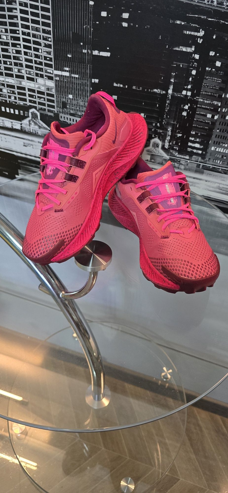 Nike Pegasus Trail 3 Gore tex